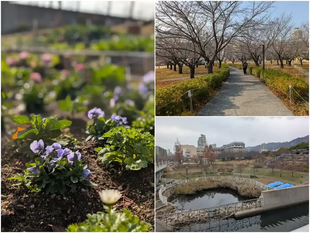 摩耶ふ頭　西郷川河口公園