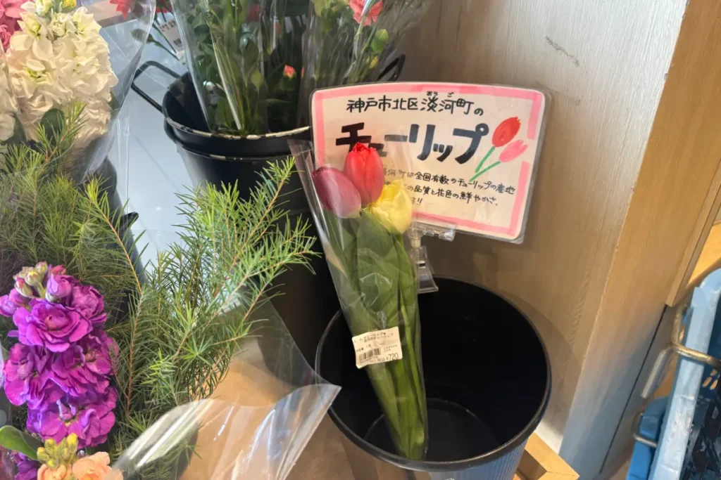 神戸市北区淡河町で生産されているチューリップ