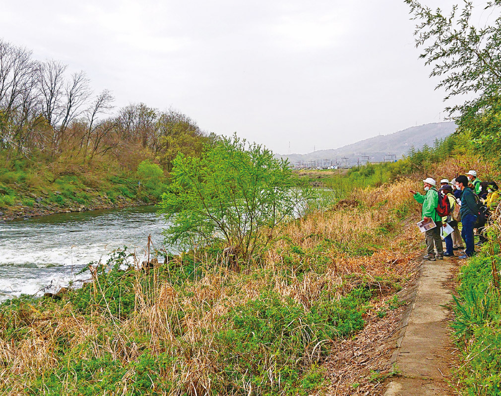 京都・大山崎で春のウォーキングイベント3月28日（土）開催！「水辺の散策2026」申込受付中