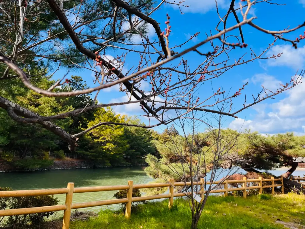 長岡天満宮　節分　八条ヶ池
