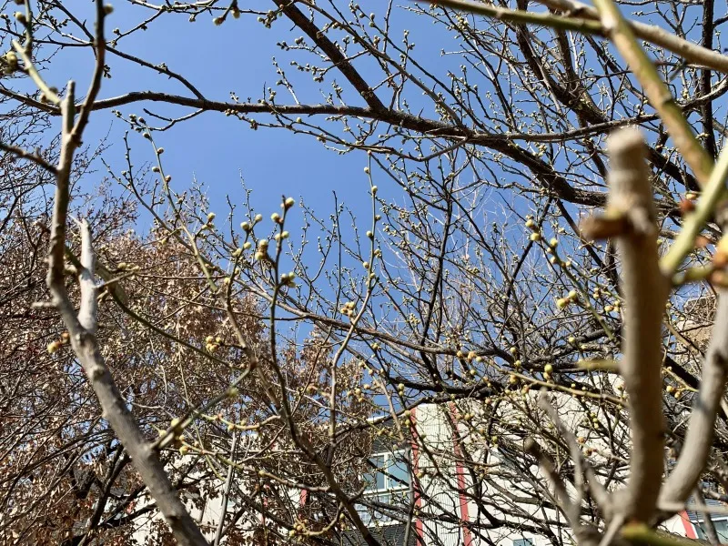 六甲風の郷公園①