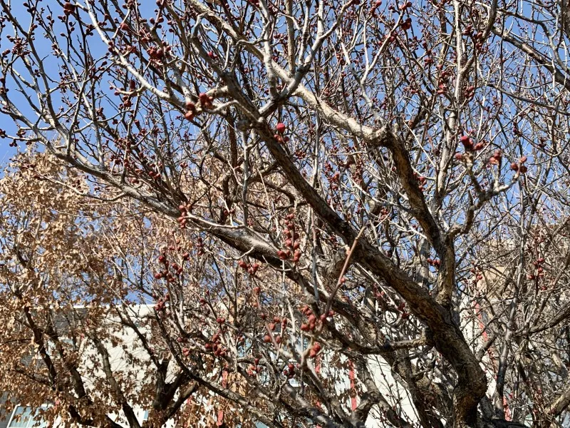 六甲風の郷公園③　