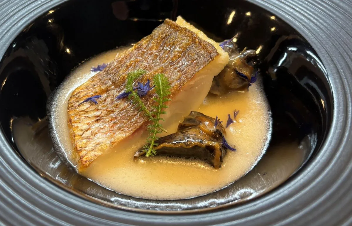 箕面 桜井｜本格イタリアンのご褒美ランチ｜ディナーは熟成肉・熟成魚、生パスタ、ジビエ料理が登場