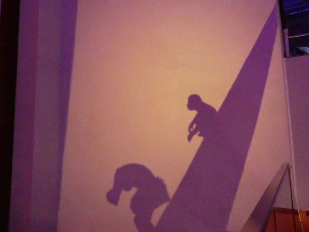 太陽の塔の壁にうつる猿の影