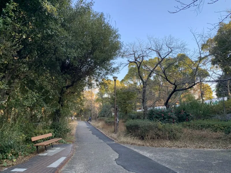 登山研究所　振り返った道