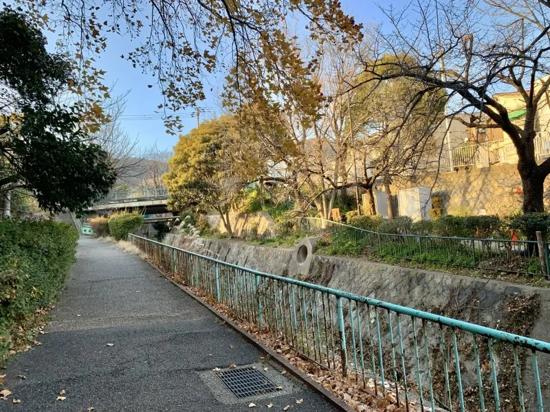 登山研究所　進んだ道