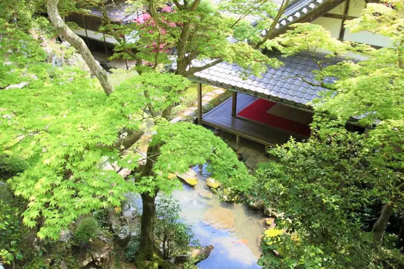 柳谷観音楊谷寺