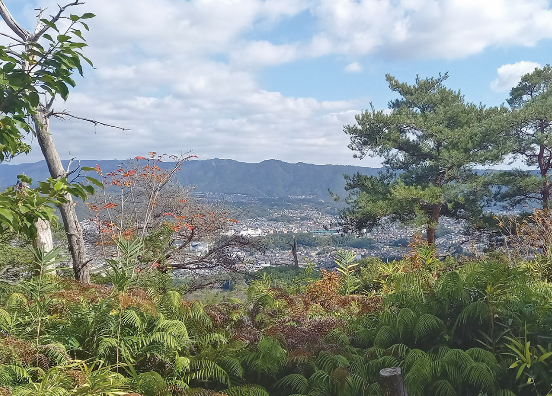 のせでん第1木曜ハイキングを3月5日（木）開催。「大平山・北雲雀きずきの森・石切山コース」