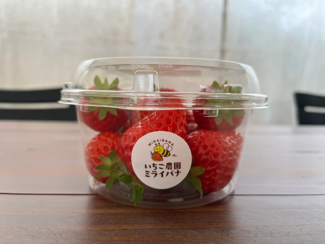 【茨木】いちご農園ミライバナの甘いいちごを見山の郷で発見！