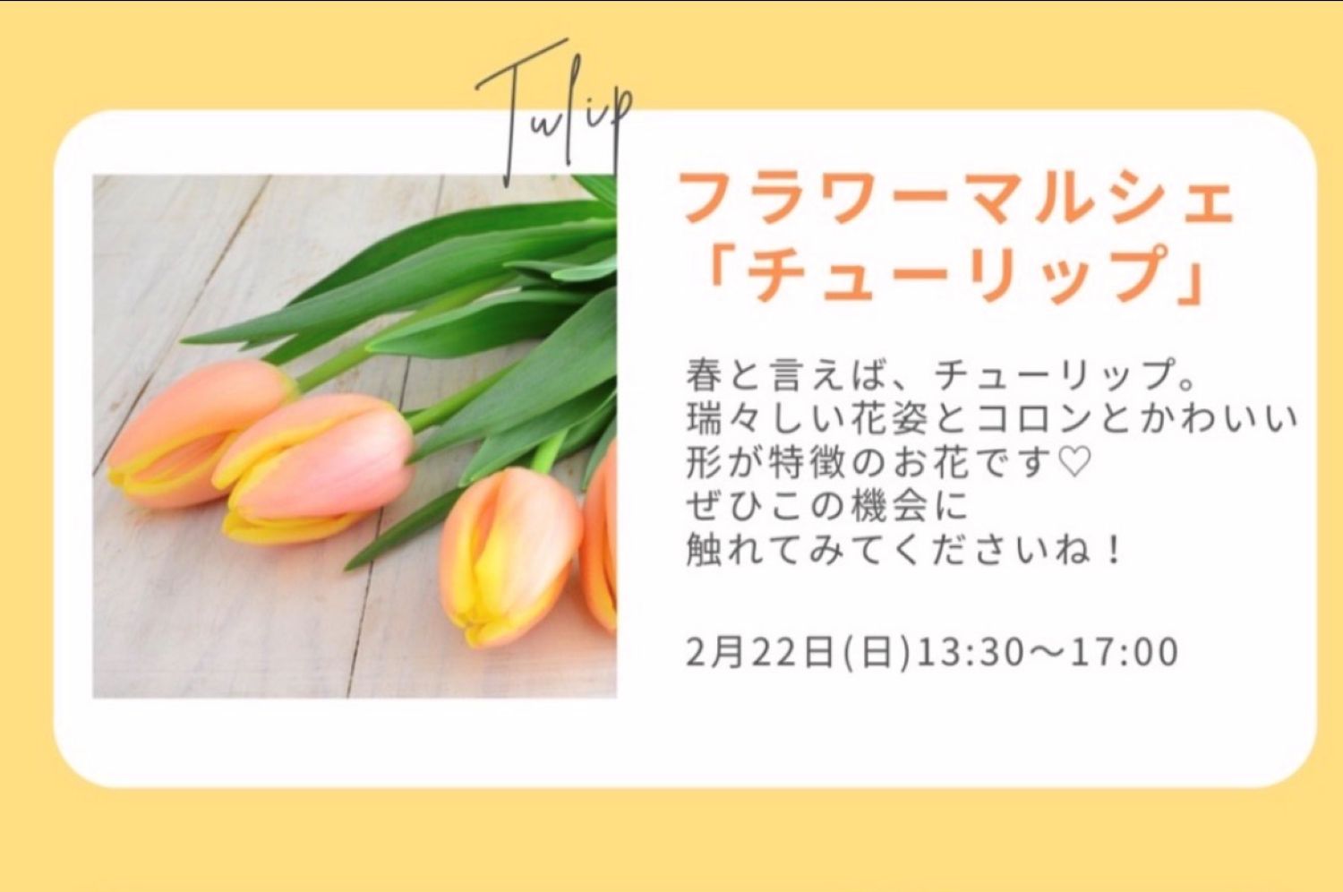 2月22日（日）、宝塚で春満載のトワボワマルシェVol.14開催。今月の花市はチューリップ