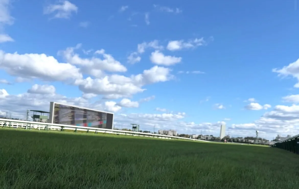 ウマ年の景気づけ！3月1日リニューアル1周年の阪神競馬場にGO！