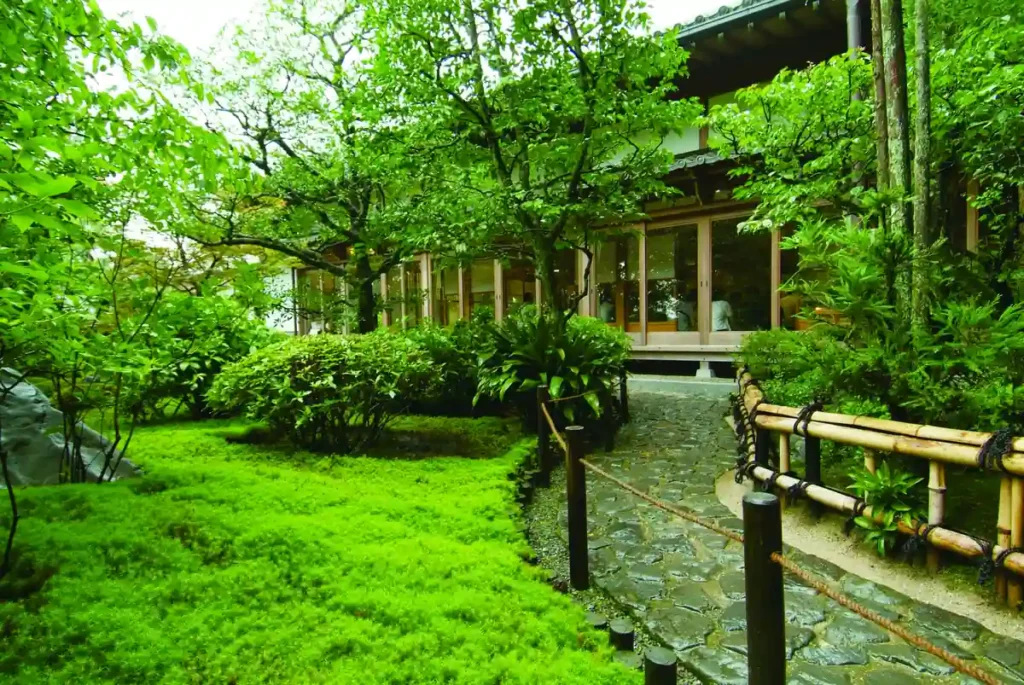 とっておきの京都「雅洛」ツアー