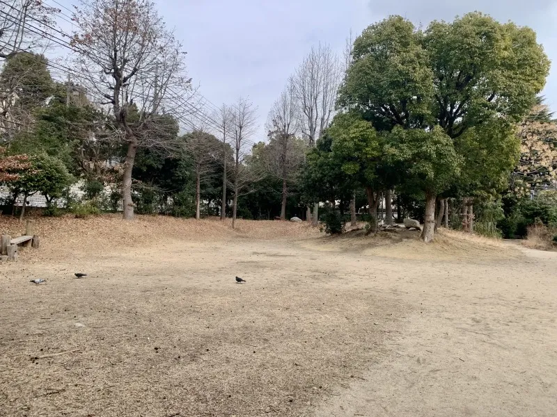 ちびっこ広場 中の広場