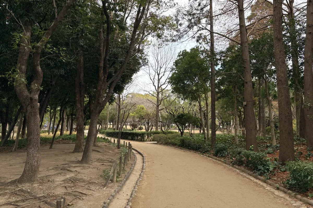 紅梅がこれから見頃の「近松公園」をお散歩！尼崎市久々知