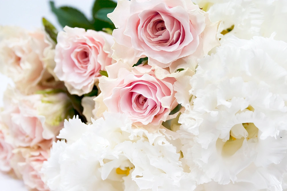 ピンクのバラと白いトルコキキョウ