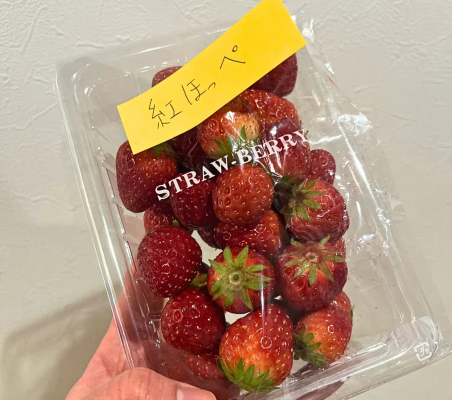 茨木市花園で見つけた、採れたてのいちご｜寺田農園の直売へ行ってきました