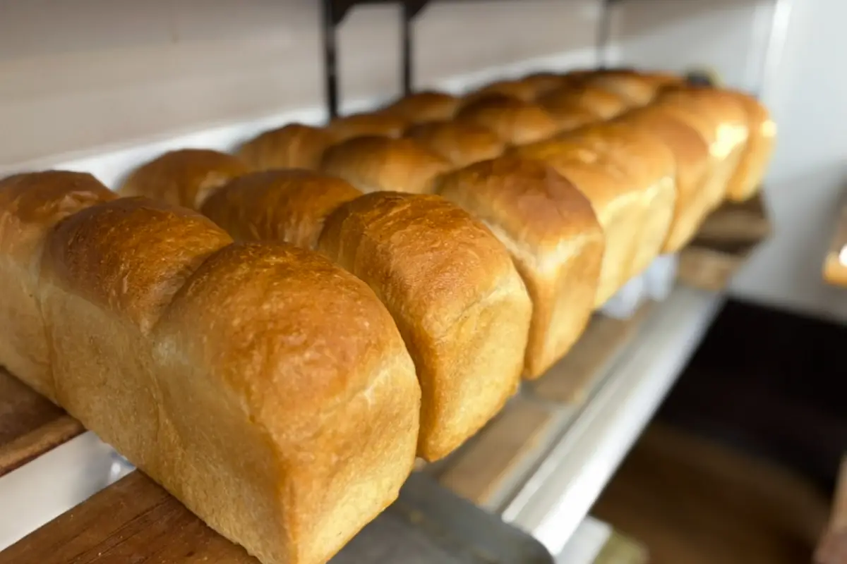 岡本人気ベーカリー「フロイン堂」「食パンあります」札があったらラッキー！