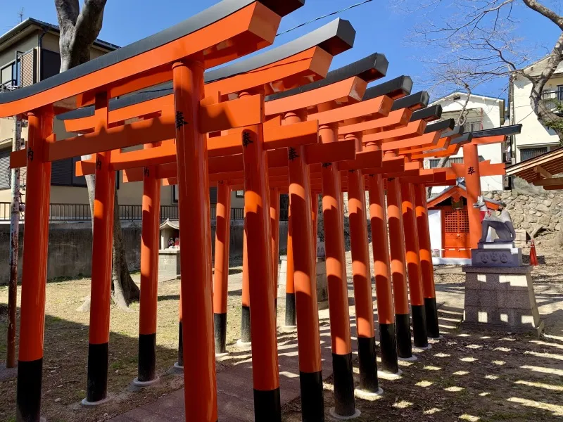 平五郎稲荷神社　赤鳥居本殿まで
