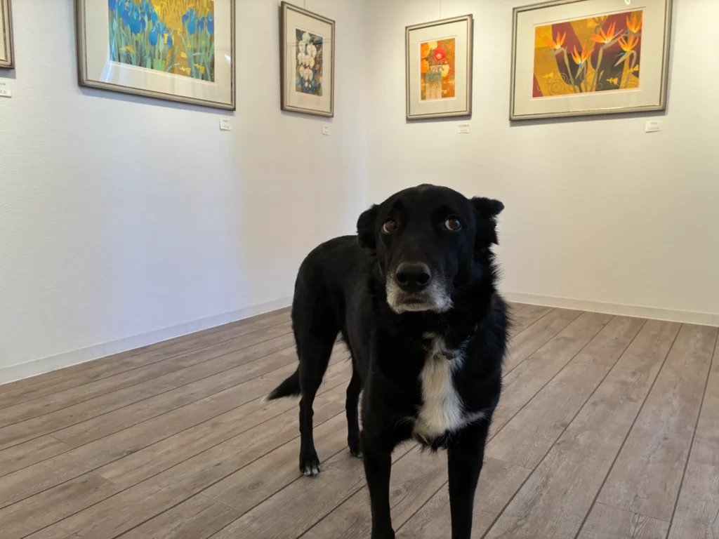 ギャラリー「からころ」、看板兼