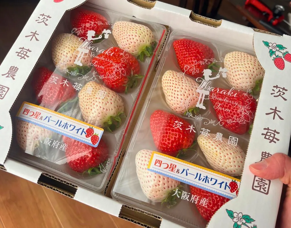 茨木苺農園の直売場へ｜希少ないちごを買いに行ってきました