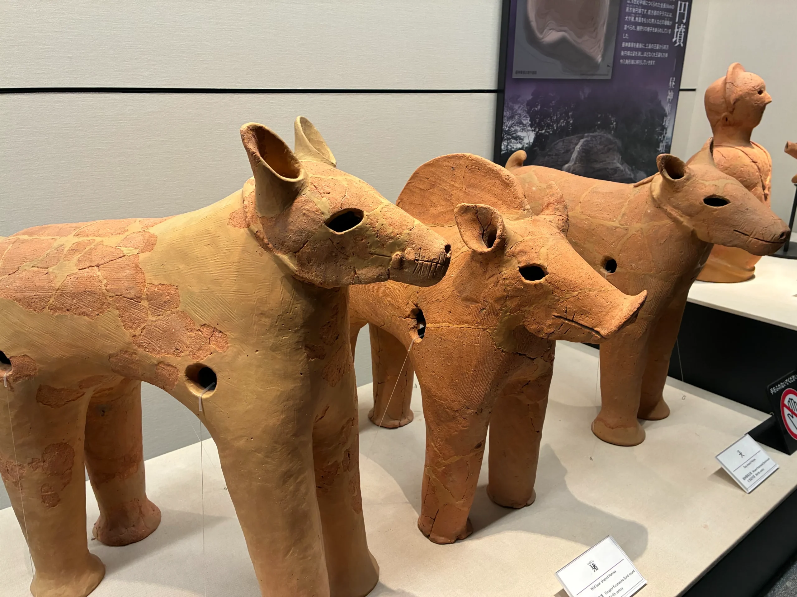 高槻市立今城塚古墳古代歴史館｜発掘調査の出土品が公開｜2/11まで｜入館無料