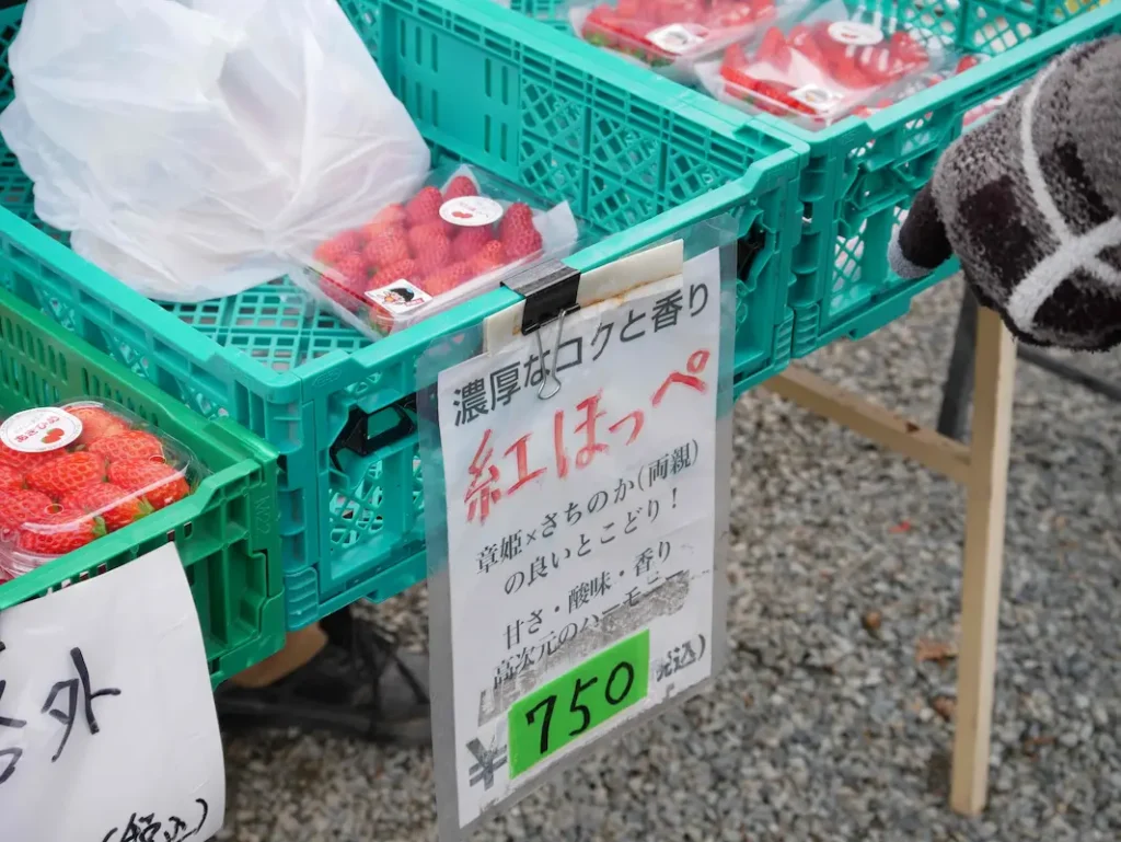川西市「なかよしBerry farm」 紅ほっぺ