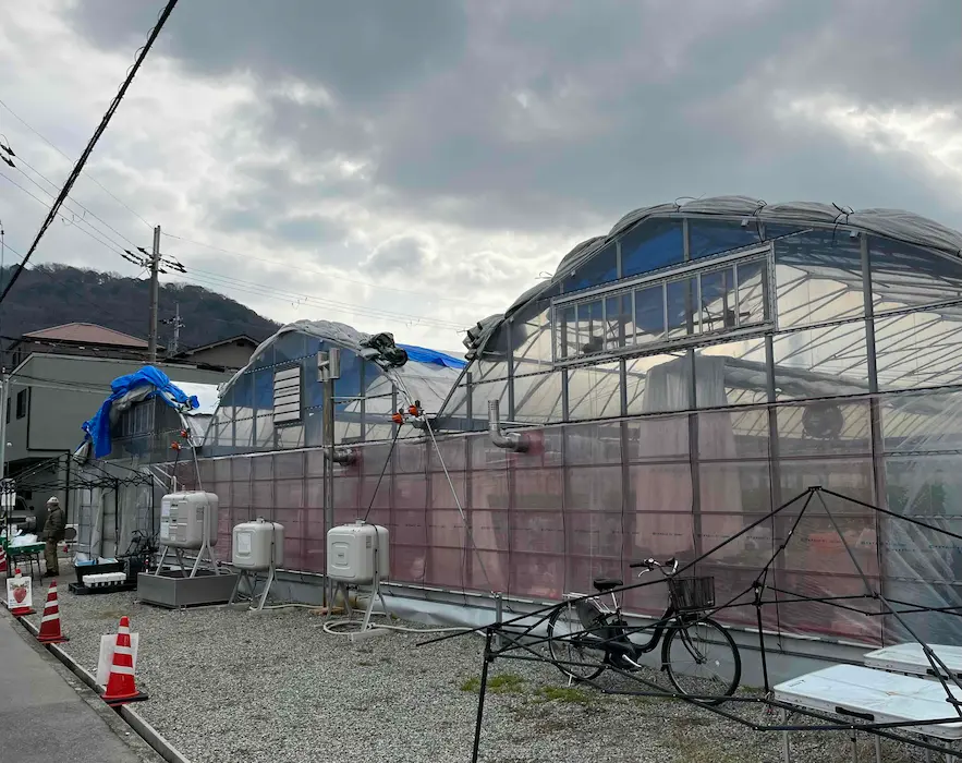 川西市「なかよしBerry farm」 ハウス外観