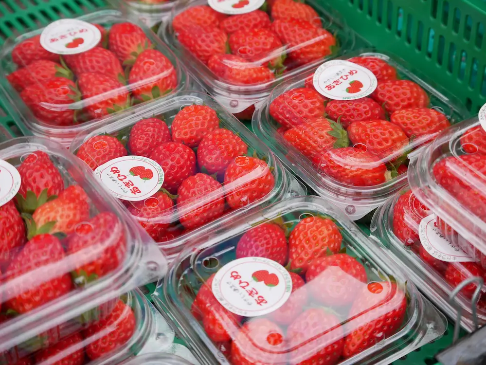 川西市「なかよしBerry farm」 あきひめ/お得パック