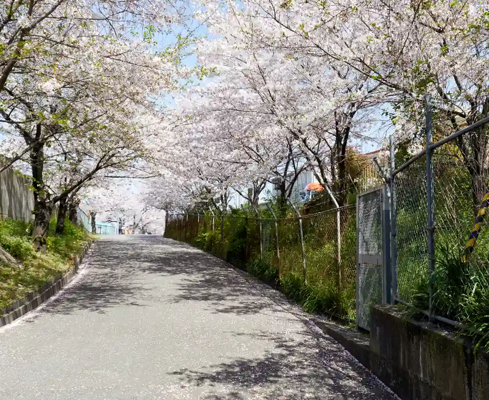 茨木・摂津TOKK検定にチャレンジしよう！ あなたは何問正解できるかな？ 【第4回】