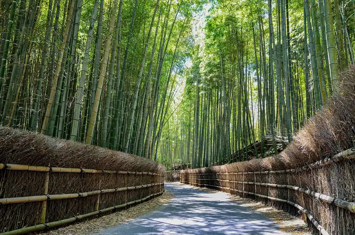 長岡京・大山崎・向日TOKK検定にチャレンジしよう！ あなたは何問正解できるかな？ 【第4回】