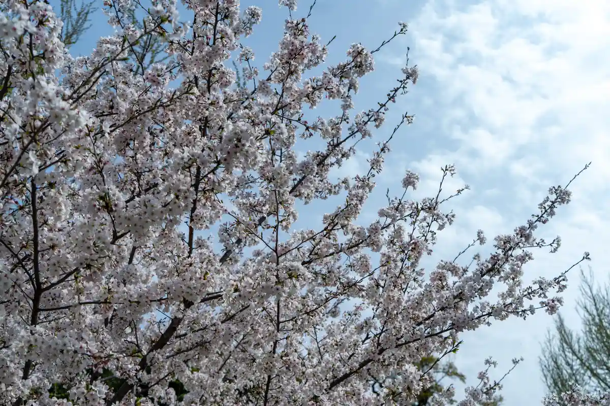 川西・池田TOKK検定にチャレンジしよう！ あなたは何問正解できるかな？ 【第4回】