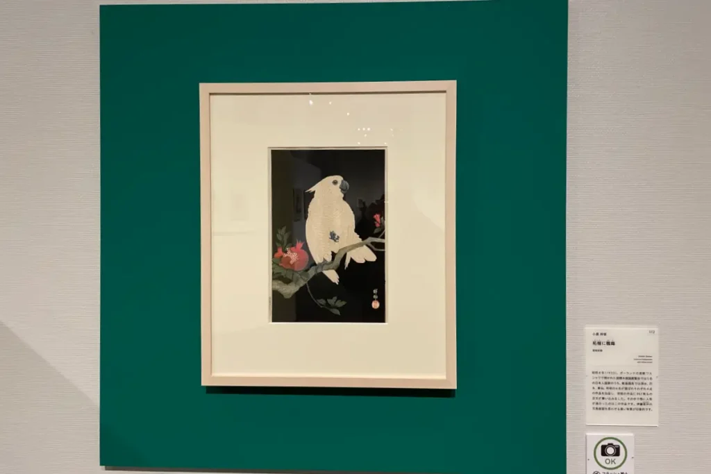 小原祥邨《柘榴に鸚鵡》昭和初期 渡邊木版美術画舗版