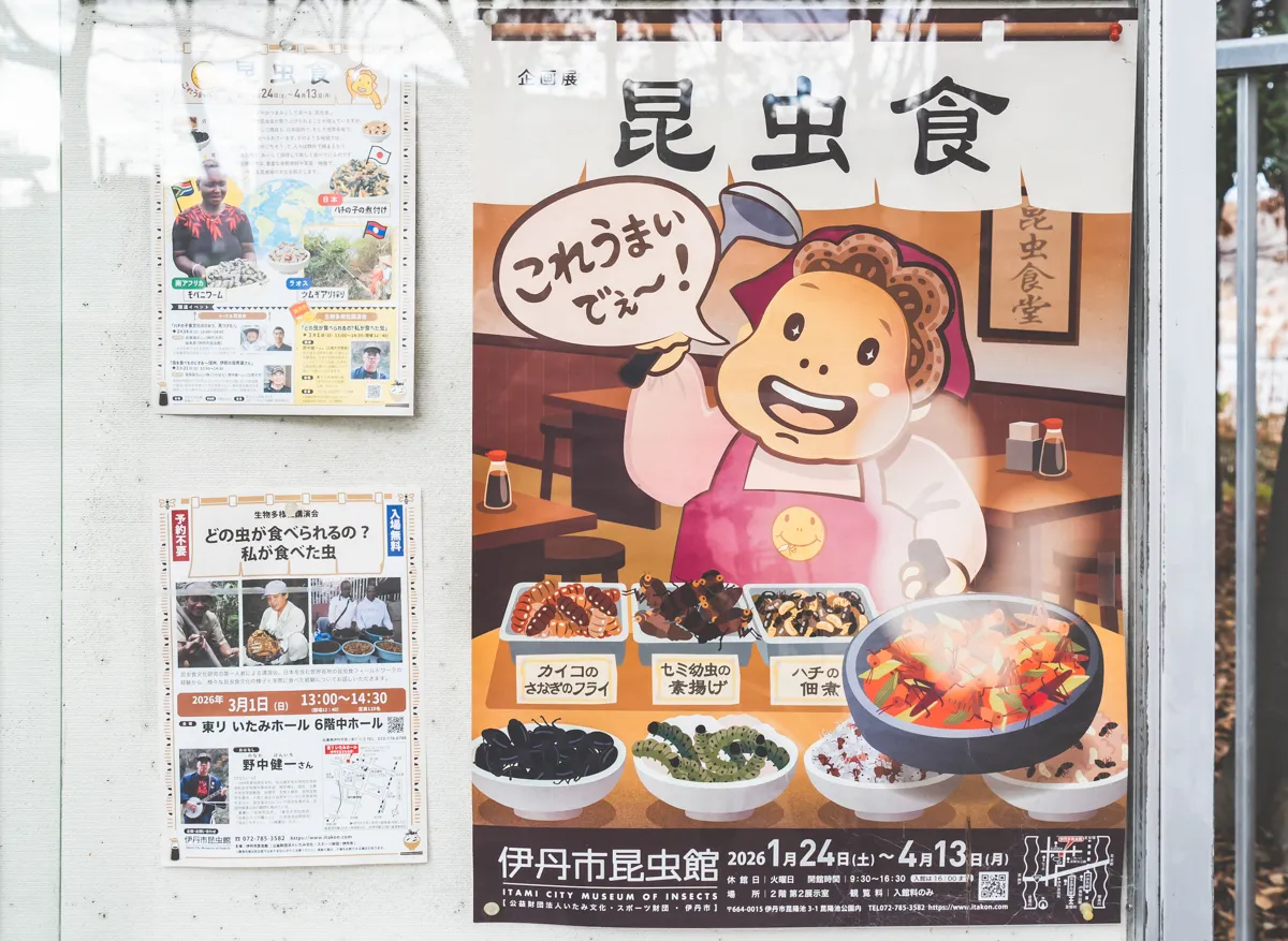 伊丹市昆虫館【昆虫食展】開催中！試食イベントやトークショーも！4/13(月)まで＆昆陽池で渡り鳥観察