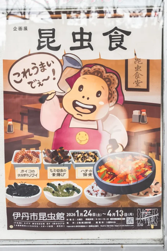 伊丹昆虫館イベントチラシ3