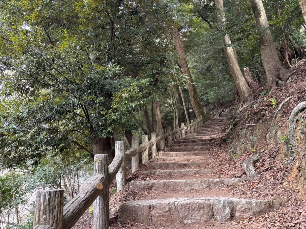 箕面ハイキング4