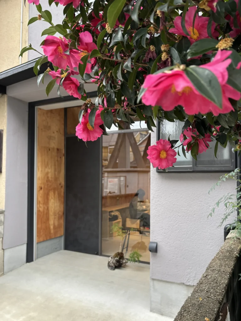 mocu-シナモンロール-外観斜め