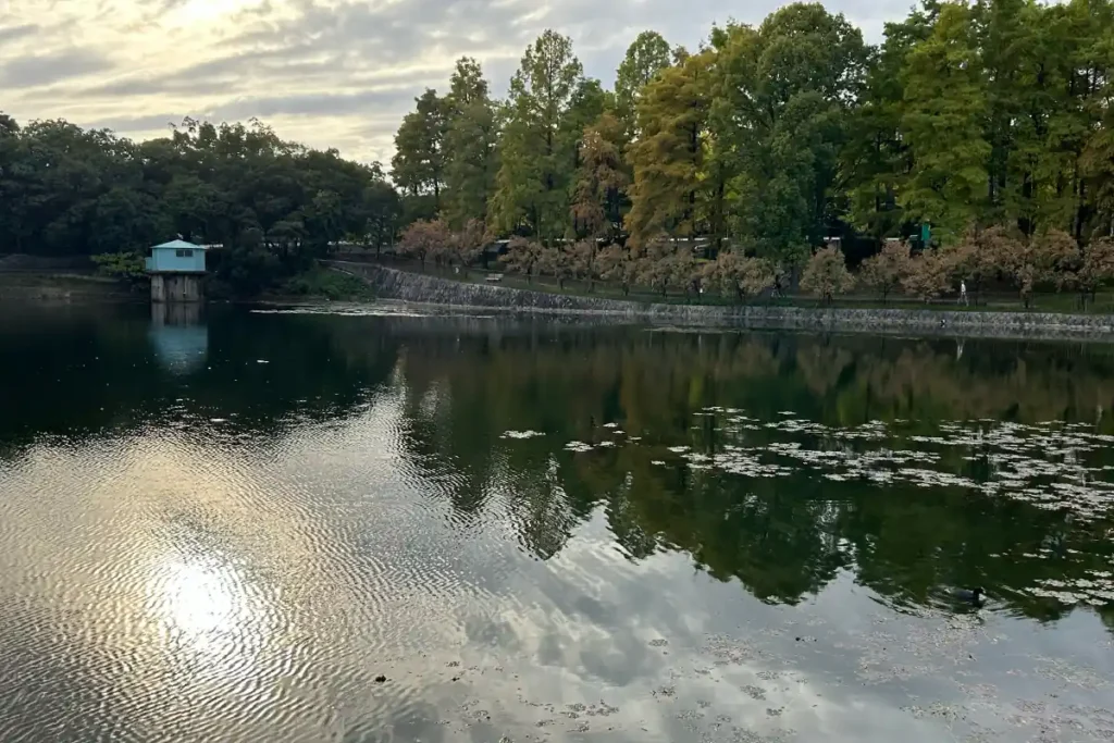 桃山公園 春日大池