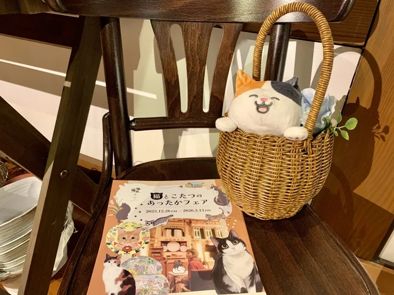 森の音ミュージアム　猫