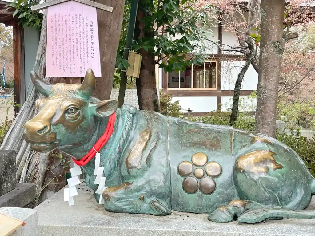 長岡天満宮の観梅　撫牛１