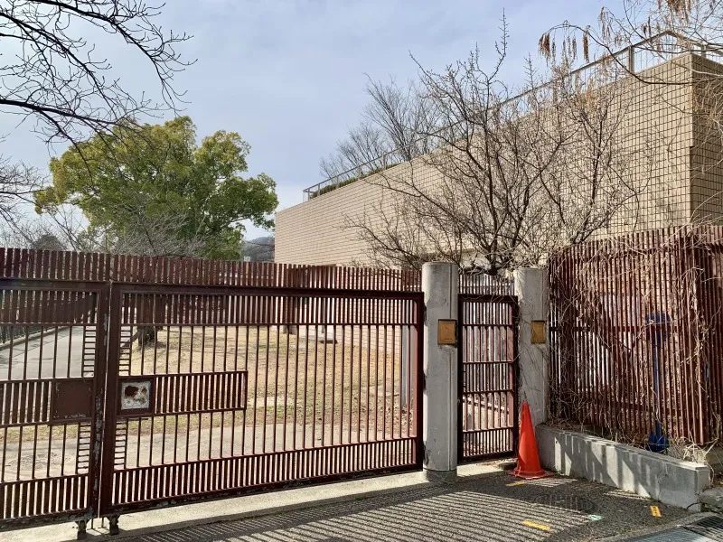 王子動物園　度仏縁ホールへ向かう途中にある桜並木（予定）