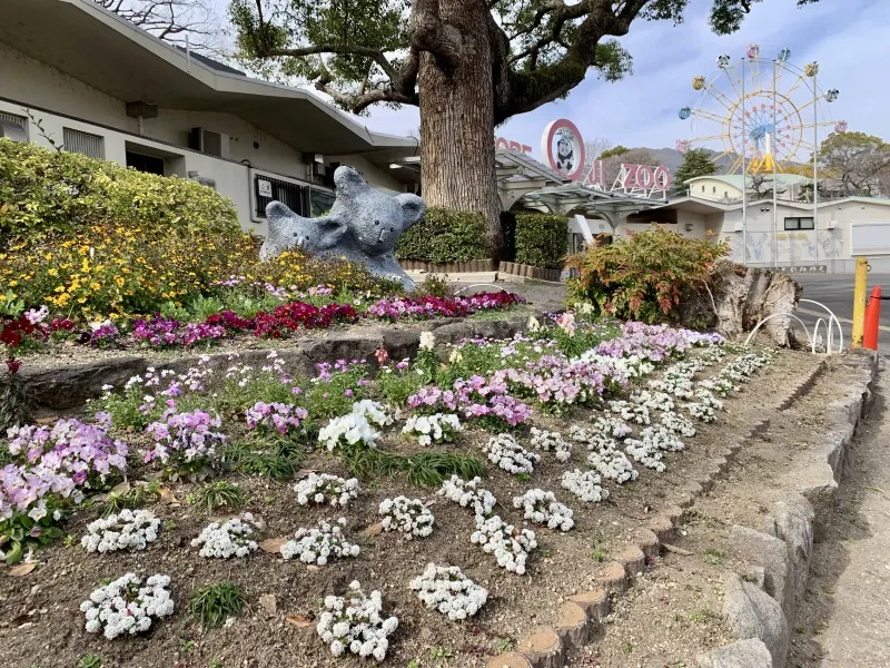 王子動物園　正面の花壇