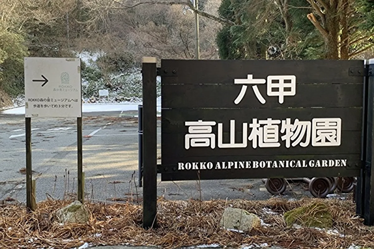 【2/21～3/8土日祝限定オープン！】灘区「六甲高山植物園」