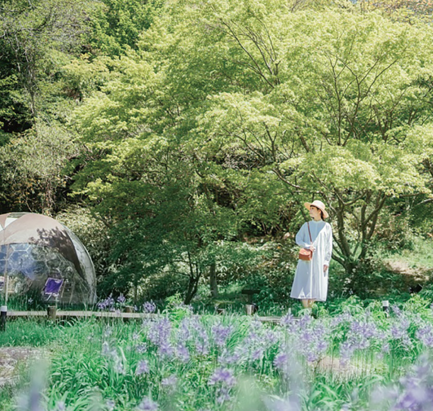 ROKKO森の音ミュージアム フェア「ハーモニー・オブ・ガーデン」招待券