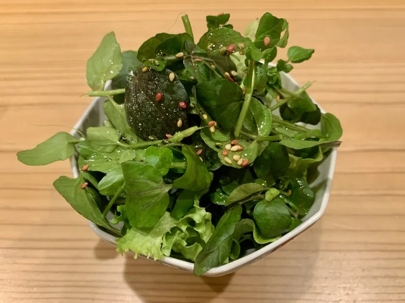 しばた　有機野菜のサラダ