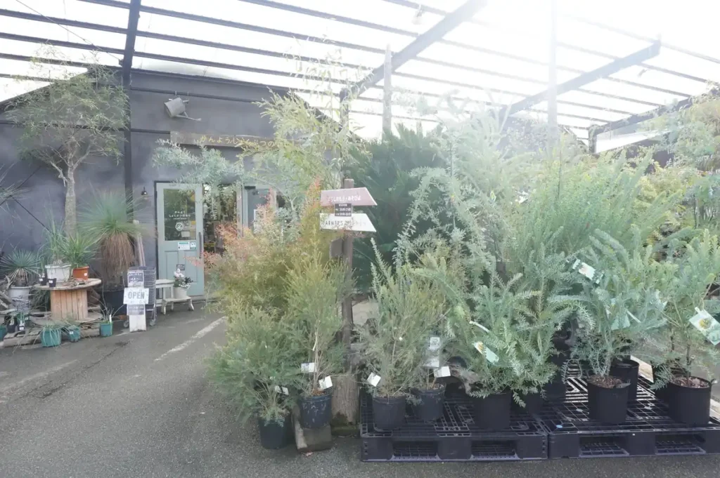 Strawberry Farma No.15　外観