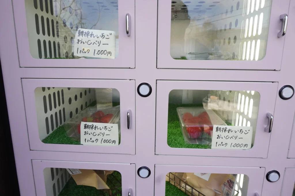 Strawberry Farm No.15　自動販売機２