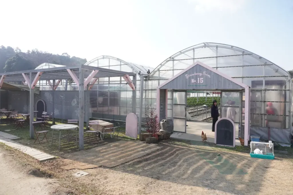 Strawberry Farma No.15のビニールハウス