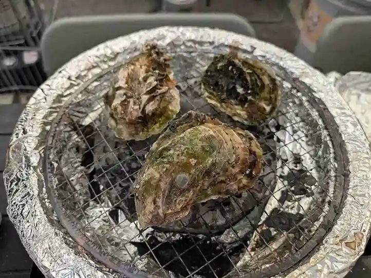 網の上に乗せた牡蠣