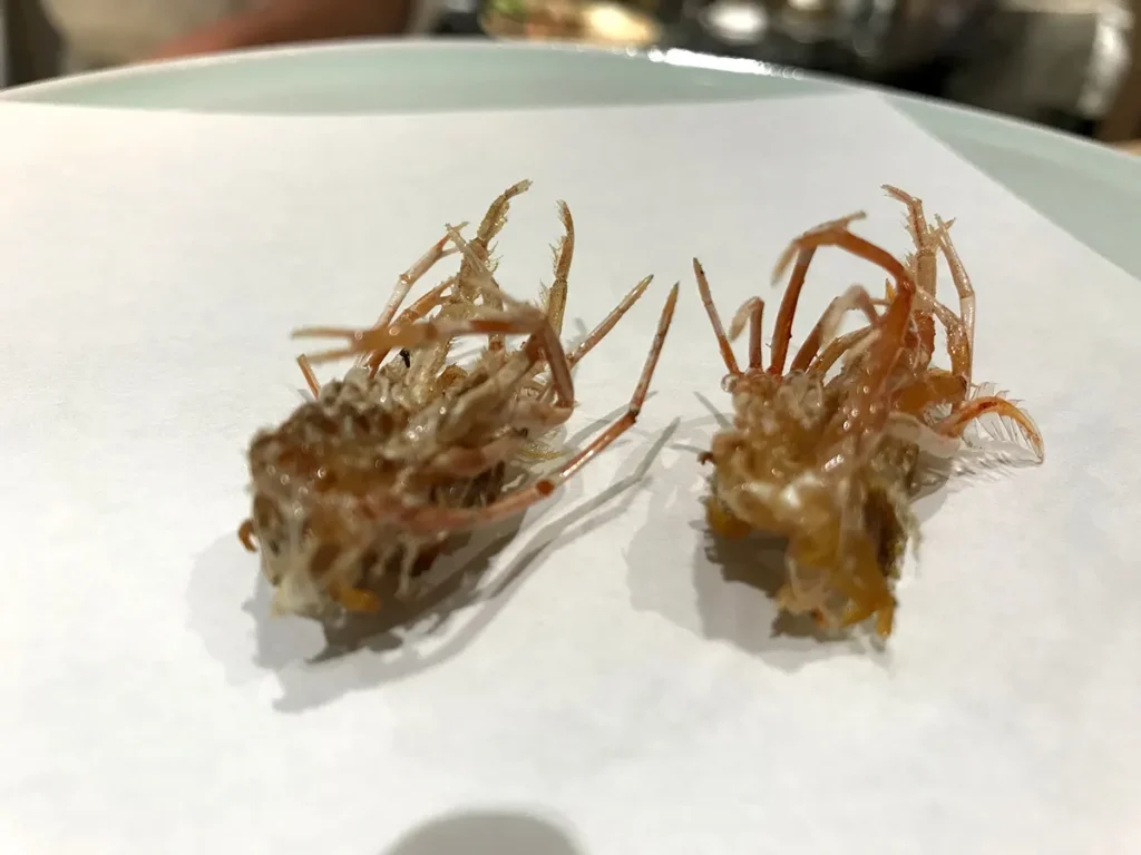 天ぷら好日 車海老の足