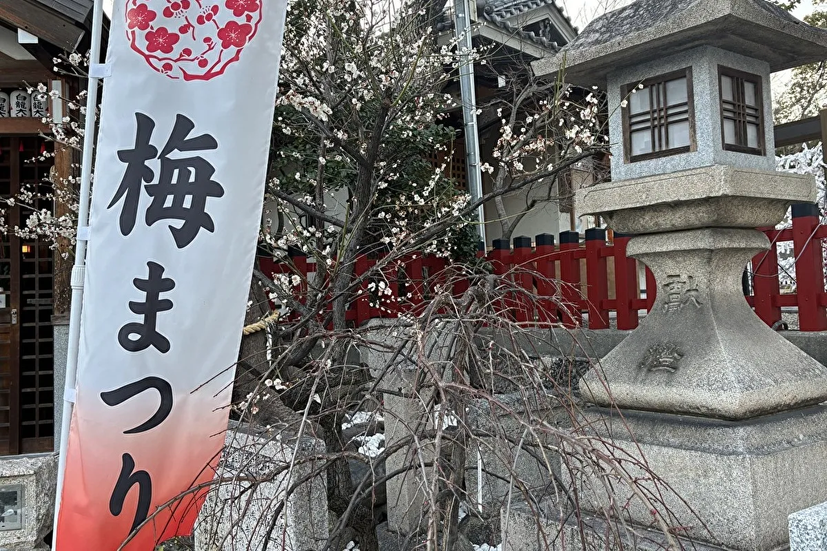 御影「綱敷天満神社」で2/25（水）「梅花祭」開催、梅がゆ接待も！